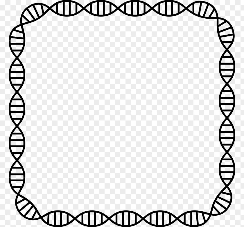 Decorative Page Border Nucleic Acid Double Helix DNA Profiling Genetics PNG