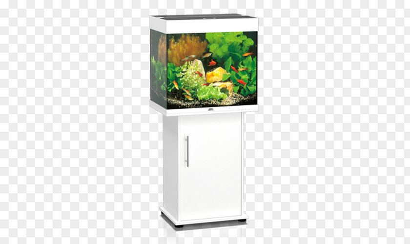 Fish Aquarium Filters Heater Koi PNG