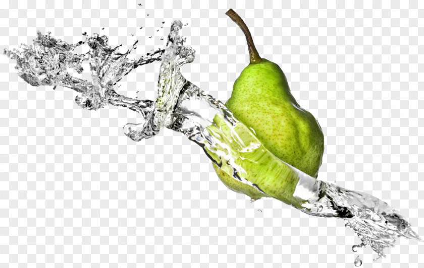 Fruit Water Splash File Clip Art PNG