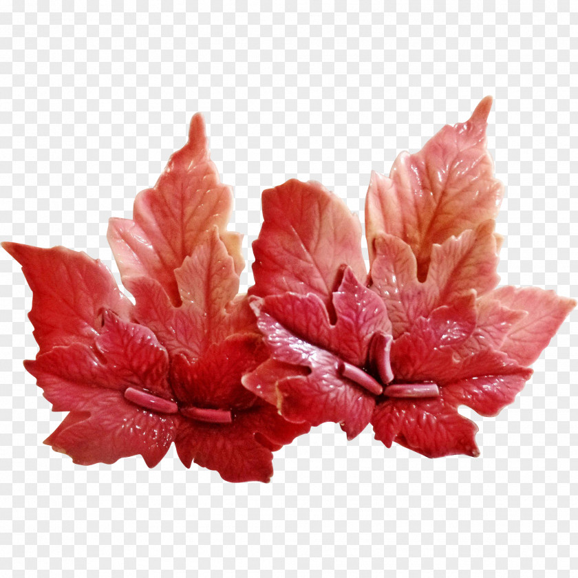 SALMON Petal Leaf Flower PNG