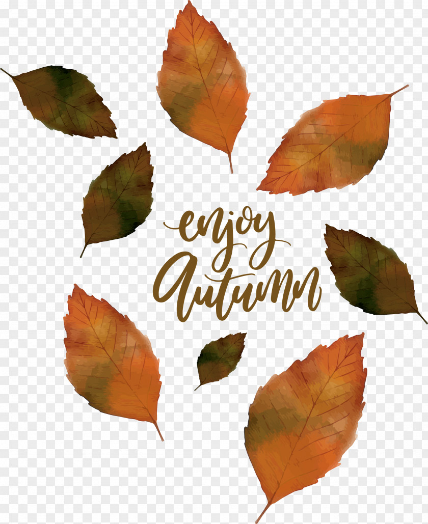 Autumn Leaves Falling In The Fall Euclidean Vector Leaf Mushroom PNG