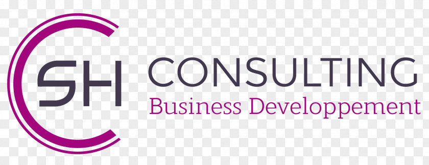 Consulting Firm Logo Brand Adviesbureau Product Design Management PNG