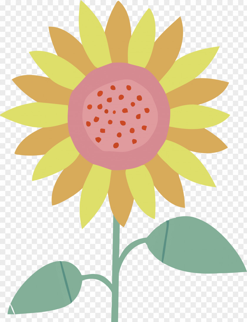 Floral Design PNG