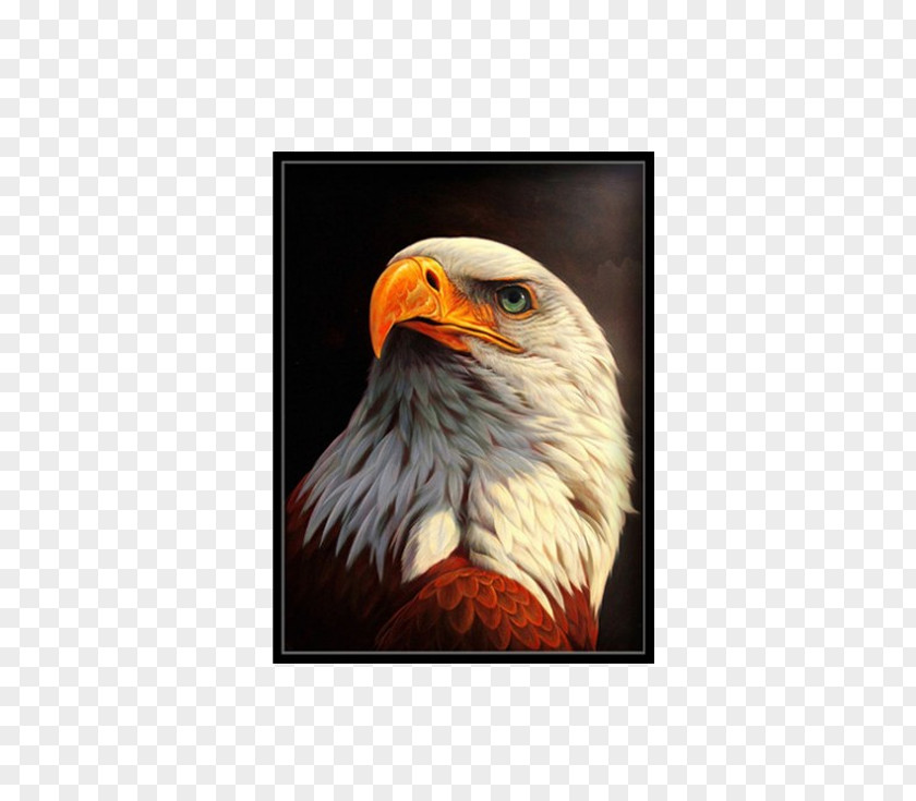 Golden Eagle Animals Oryol Painting Rhinestone Art PNG