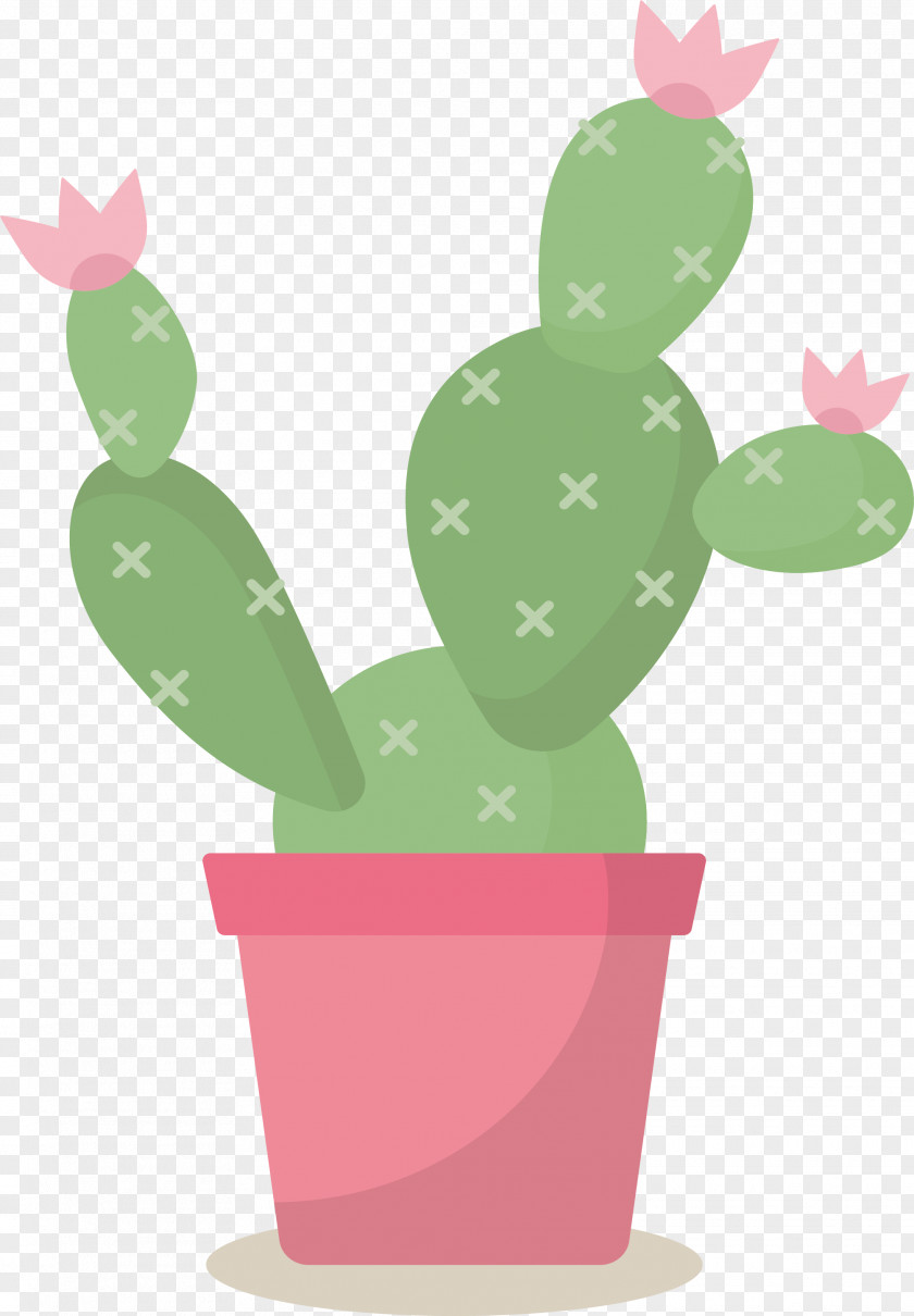 Pink Flowerpot Cactus Cactaceae Euclidean Vector PNG