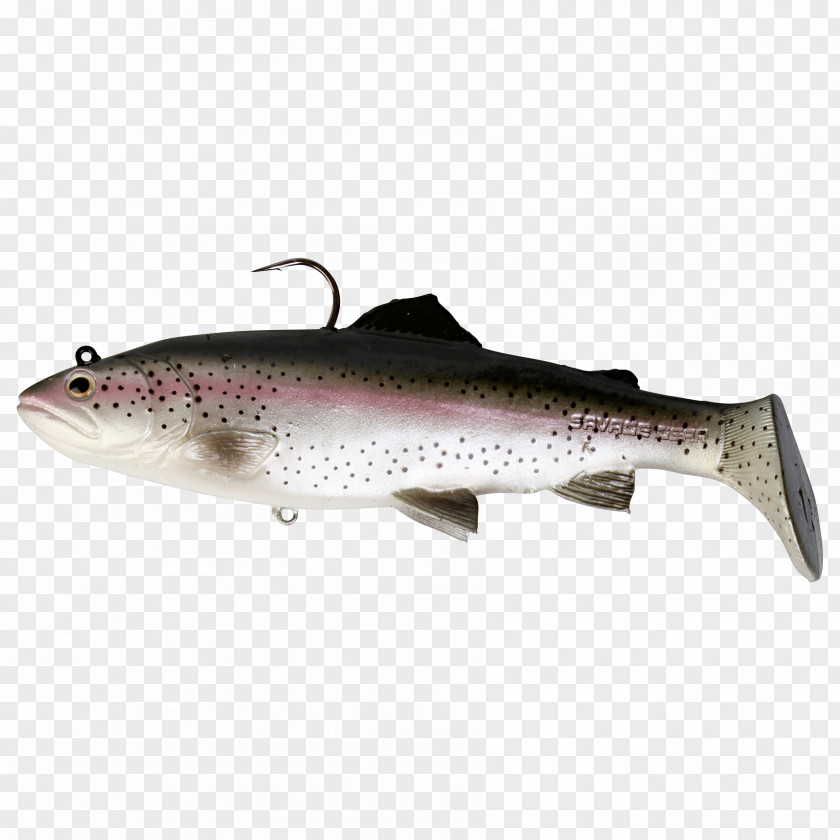 Trout Brown Rainbow 3D Modeling Fishing PNG