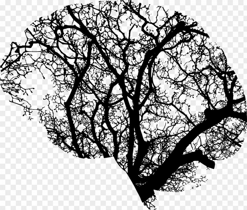 Brain Tree Human Head Clip Art PNG
