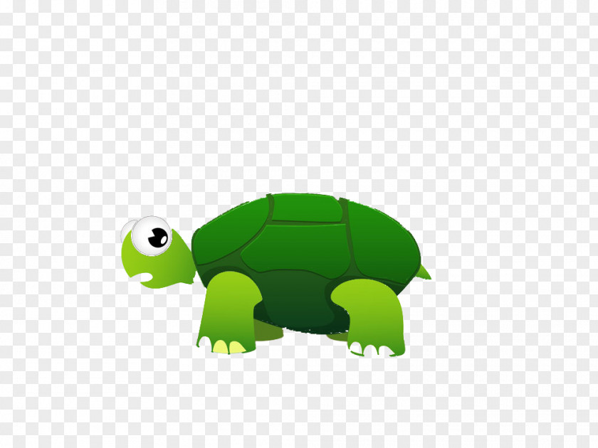 Green Island Beach Turtle Creative Tortoise Download PNG