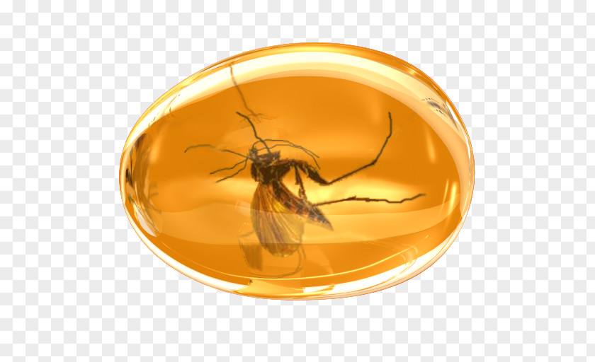 Mosquito Amber Gemstone Clip Art PNG