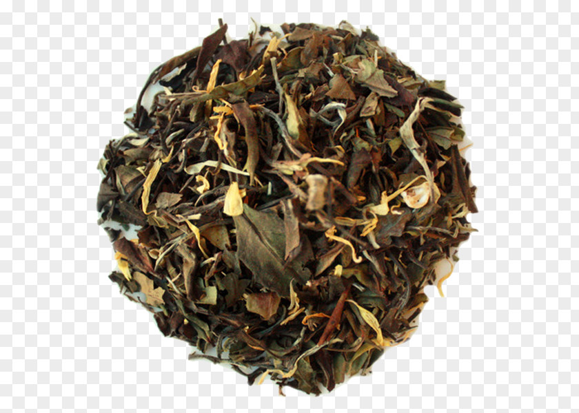 Tea Leaf Grading Earl Grey Oolong Darjeeling PNG