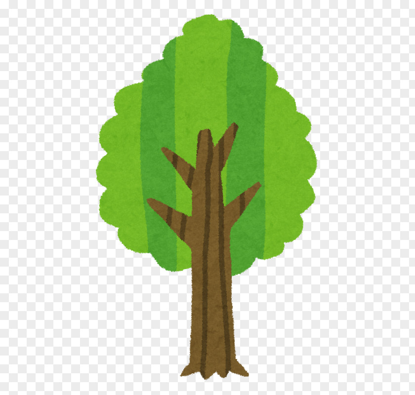 Tree Wood Branch Biomass PNG