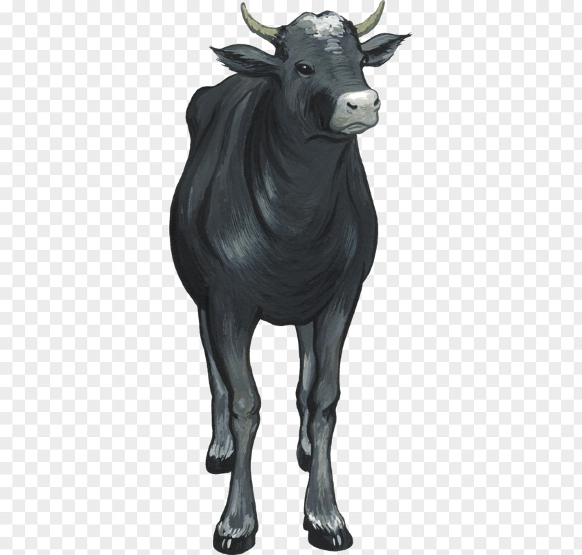 Bull Baka Taurine Cattle Vector Graphics Ox PNG