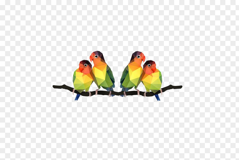 Cartoon Parrot Lovebird Illustration PNG