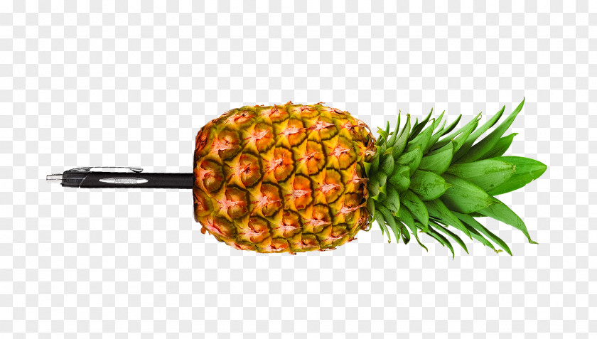 Pinapple Pen-Pineapple-Apple-Pen Food PPAP PNG
