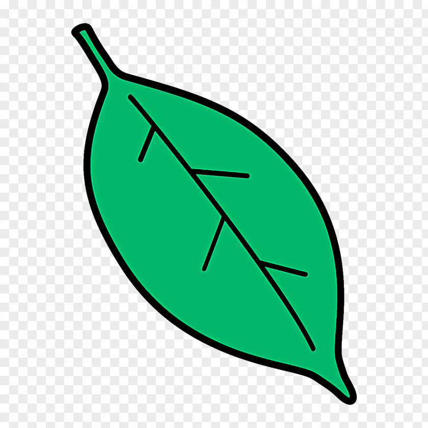 Plant Green Leaf Line PNG