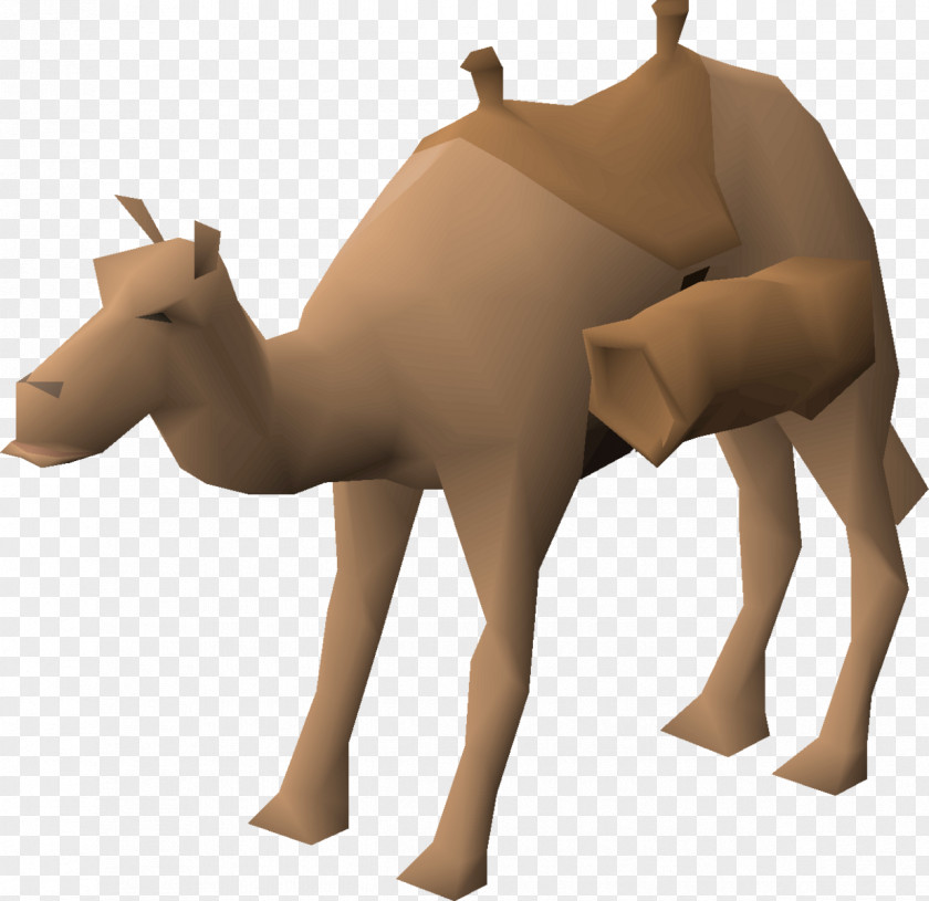 Rajasthan Camel Dromedary Horse Pack Animal Deer Neck PNG