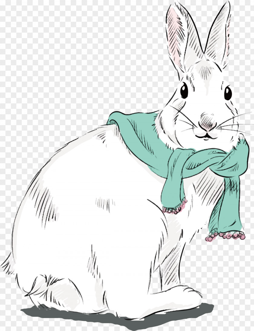 Sketch Rabbit Vector Domestic Hare Whiskers Illustration PNG