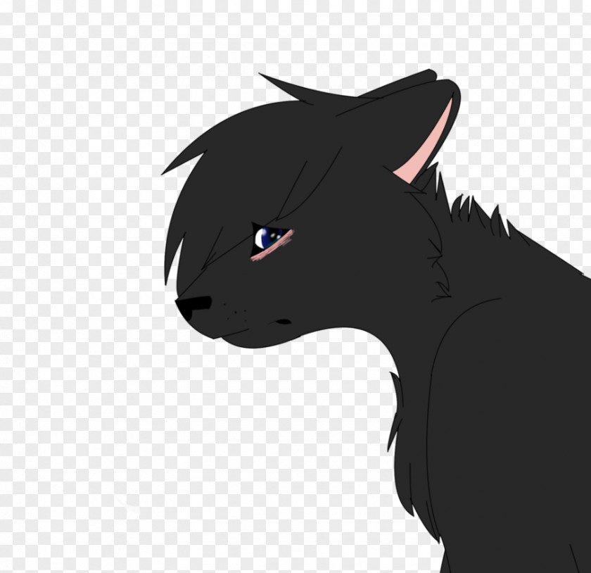 Sorry Cat Whiskers Mammal Dog Horse PNG