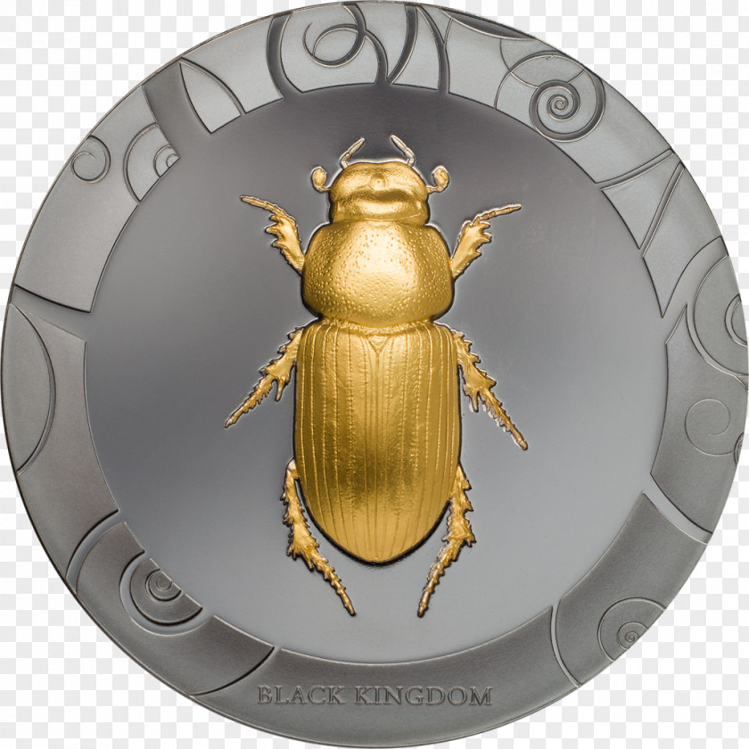 Beetle Scarabaeus Coin Scarabs PNG