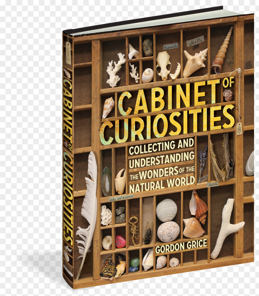 Book Cabinet Of Curiosities: Collecting And Understanding The Wonders Natural World Cabinets Curiosities Hardcover PNG