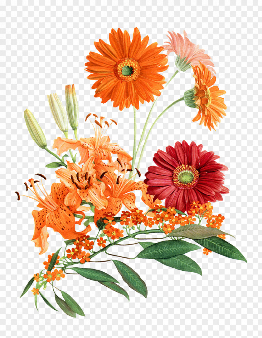 Botanical Cut Flowers Floral Design Floristry Plant PNG
