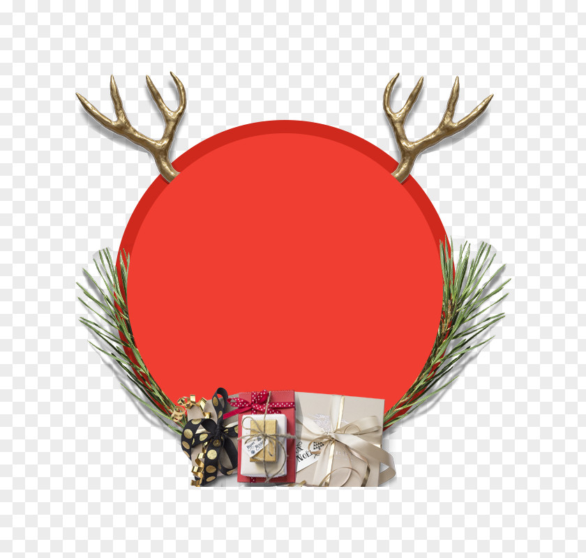 Circle Colors Antler Gift Deer Christmas Day Horn PNG