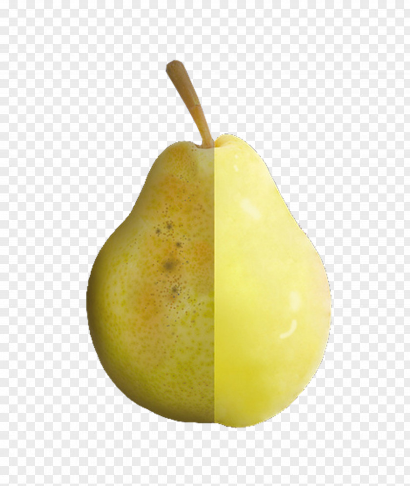 Half Smooth Rough Pear Download Icon PNG