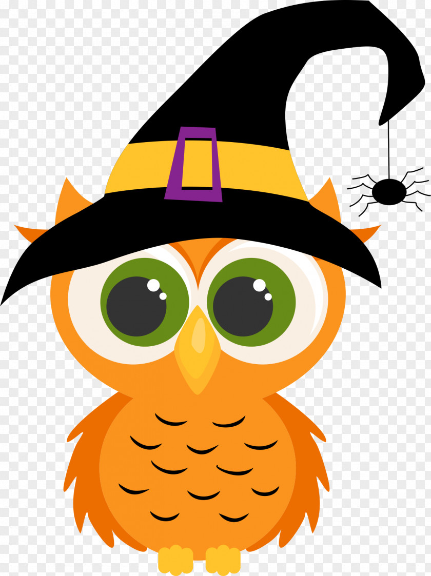 Hat Bird Owl Headgear Of Prey Costume PNG