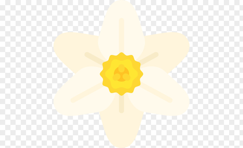 Narcissus Flower Petal PNG