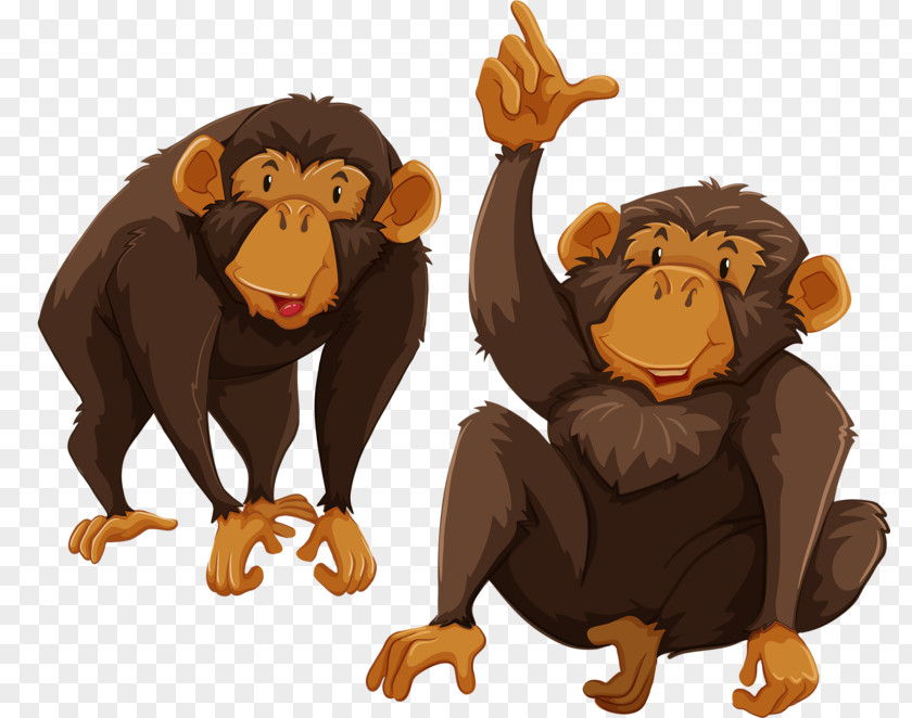 Naughty Monkey Gibbon Primate Illustration PNG