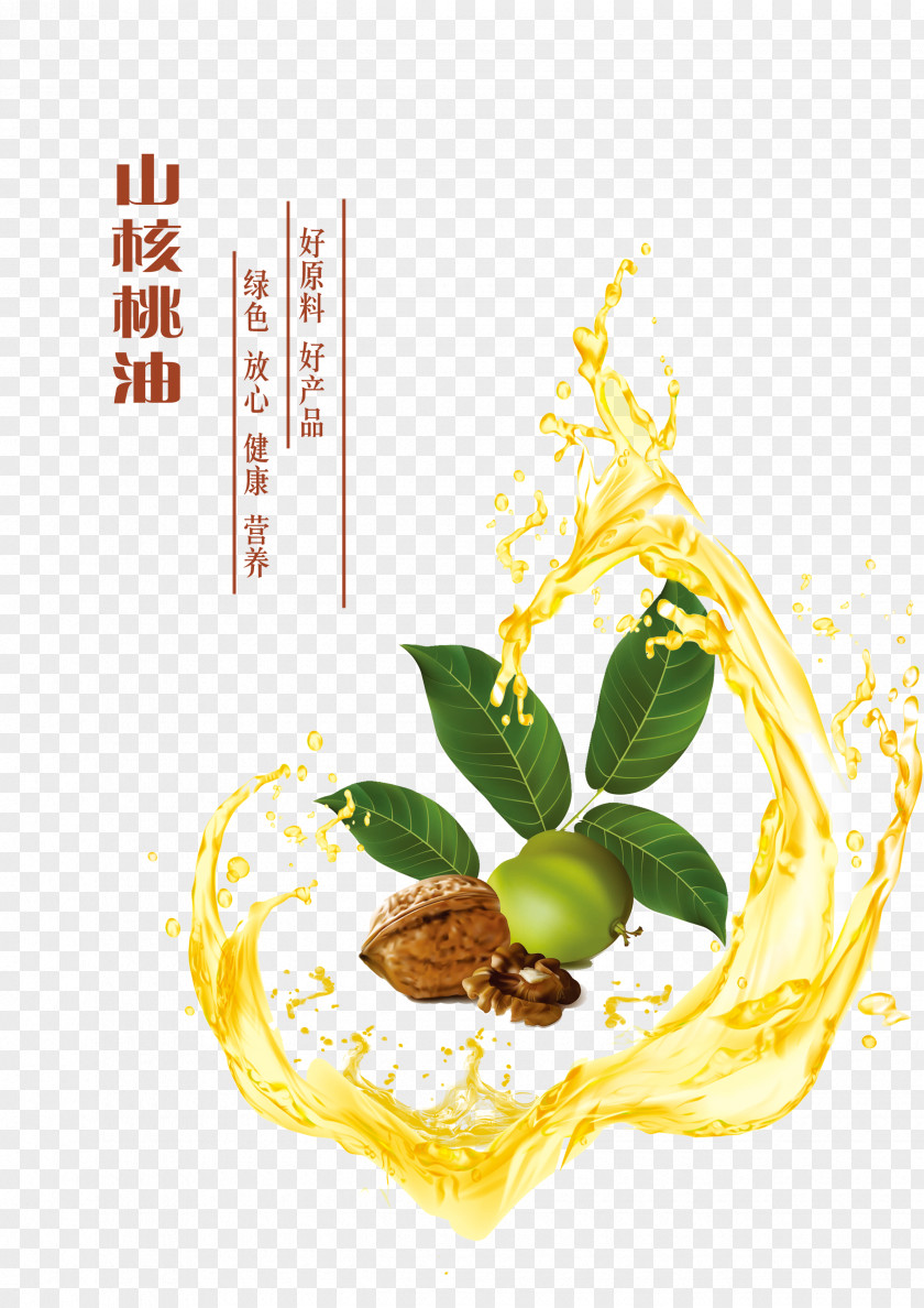 Pecan Oil And Droplets Walnut Poster PNG