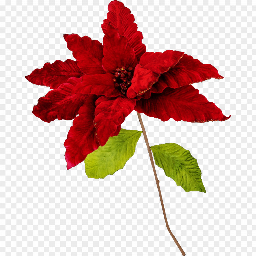 Poinsettia Artificial Flower PNG