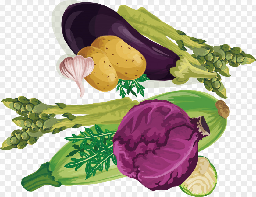 Purple Cabbage Leaf Vegetable Vegetarian Cuisine PNG