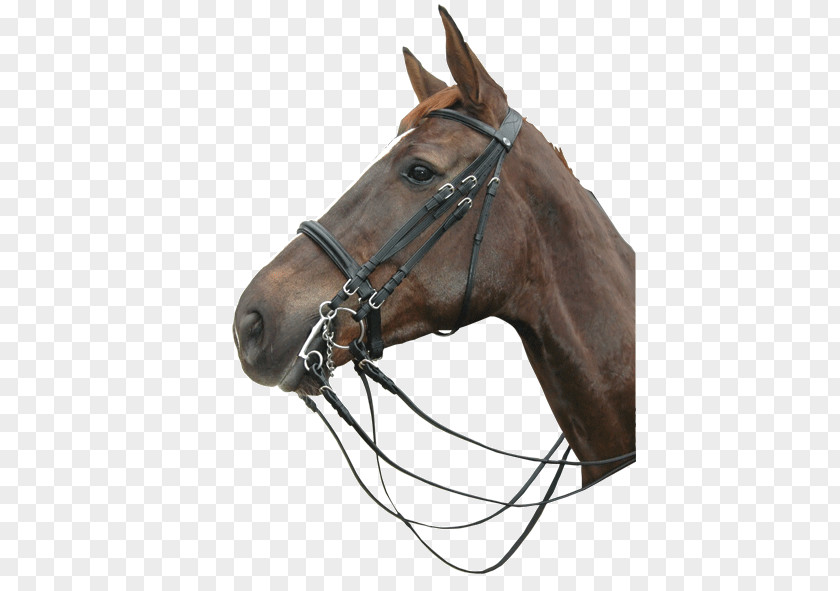 Double Privilege Halter Bridle Horse Rein Noseband PNG