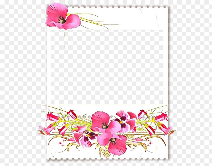 Hibiscus Wildflower Picture Frame PNG