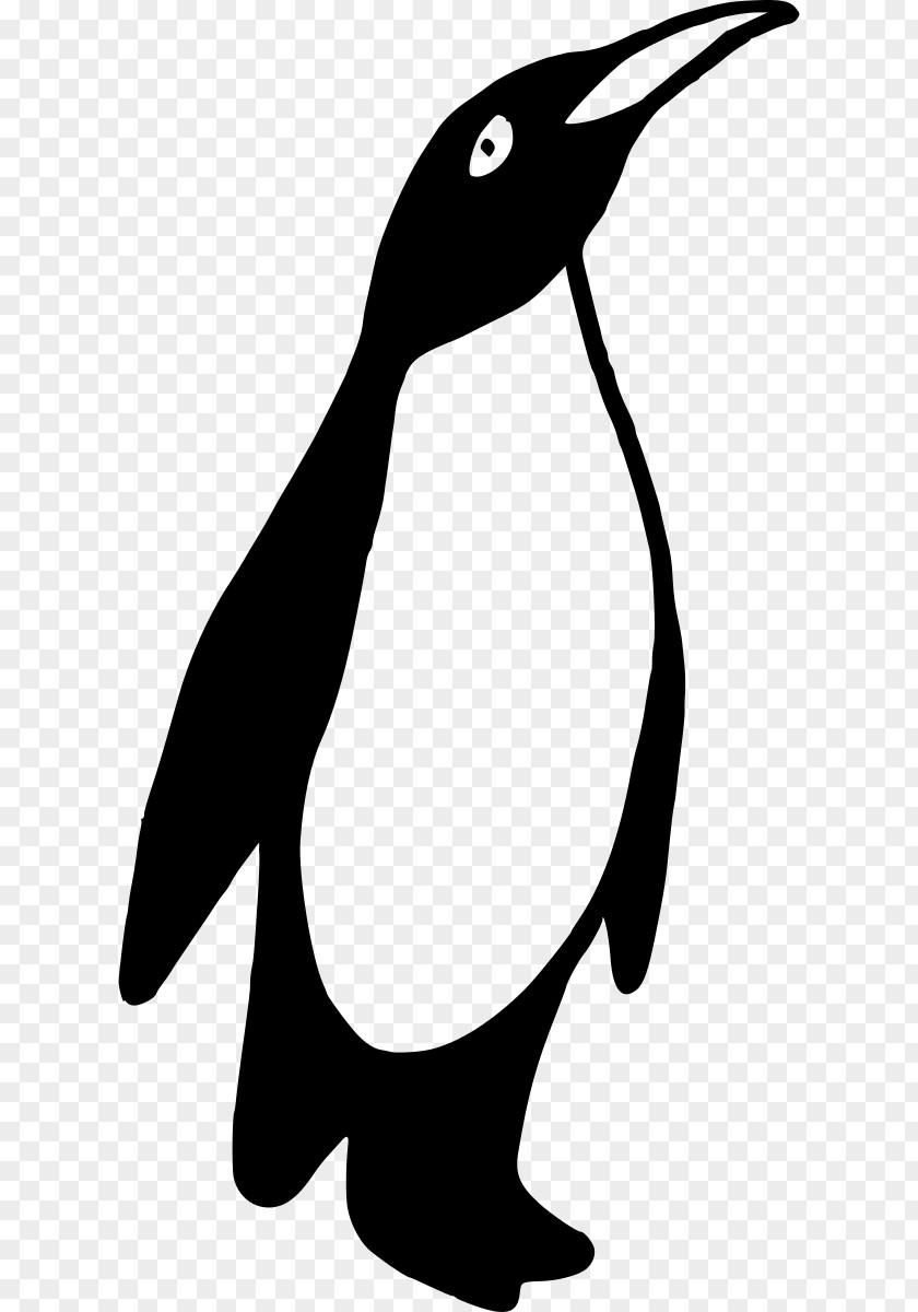 Pictures Of A Penguin Emperor Clip Art PNG