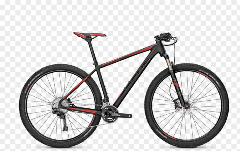 Black Forest Bicycle Shop Mountain Bike Focus Bikes Cross-country Cycling PNG