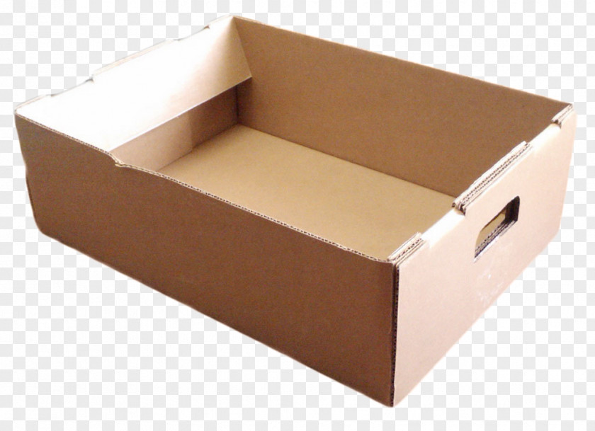 Box Paper Cardboard Carton Packaging And Labeling PNG