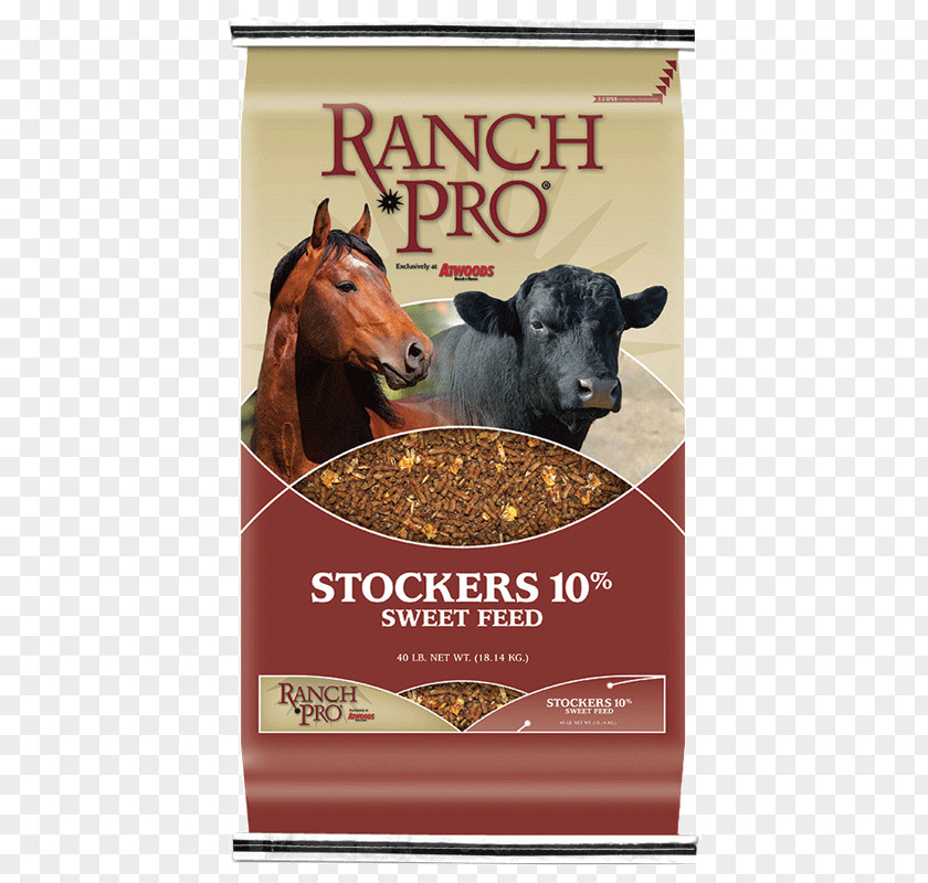 Cattle Feed Horse Equine Nutrition Ranch Goat PNG