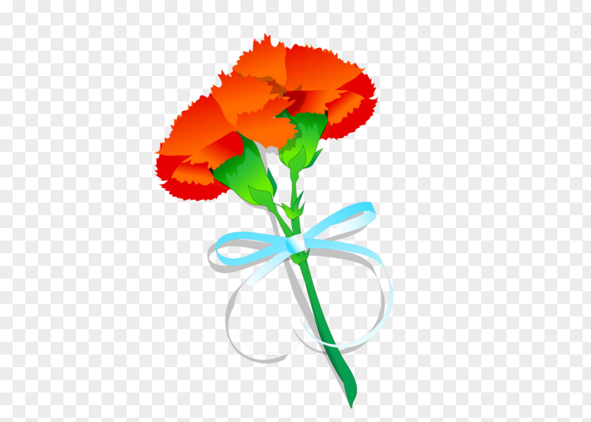 Flower Carnation Poppy Drawing PNG