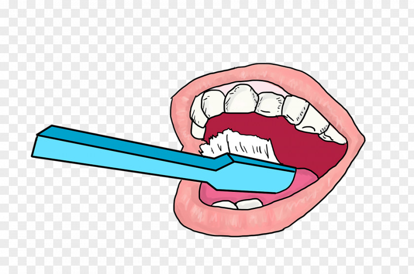 Human Tooth Brushing Oral Hygiene Dentistry PNG tooth brushing hygiene Dentistry, Toothbrush clipart PNG