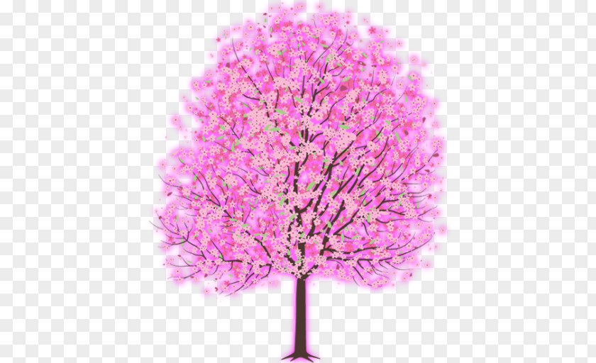 Jqlogo Cherry Blossom Lonely Petal Tree Of Life PNG