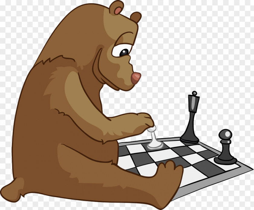 Little Bear Playing Chess Yogi Cartoon PNG