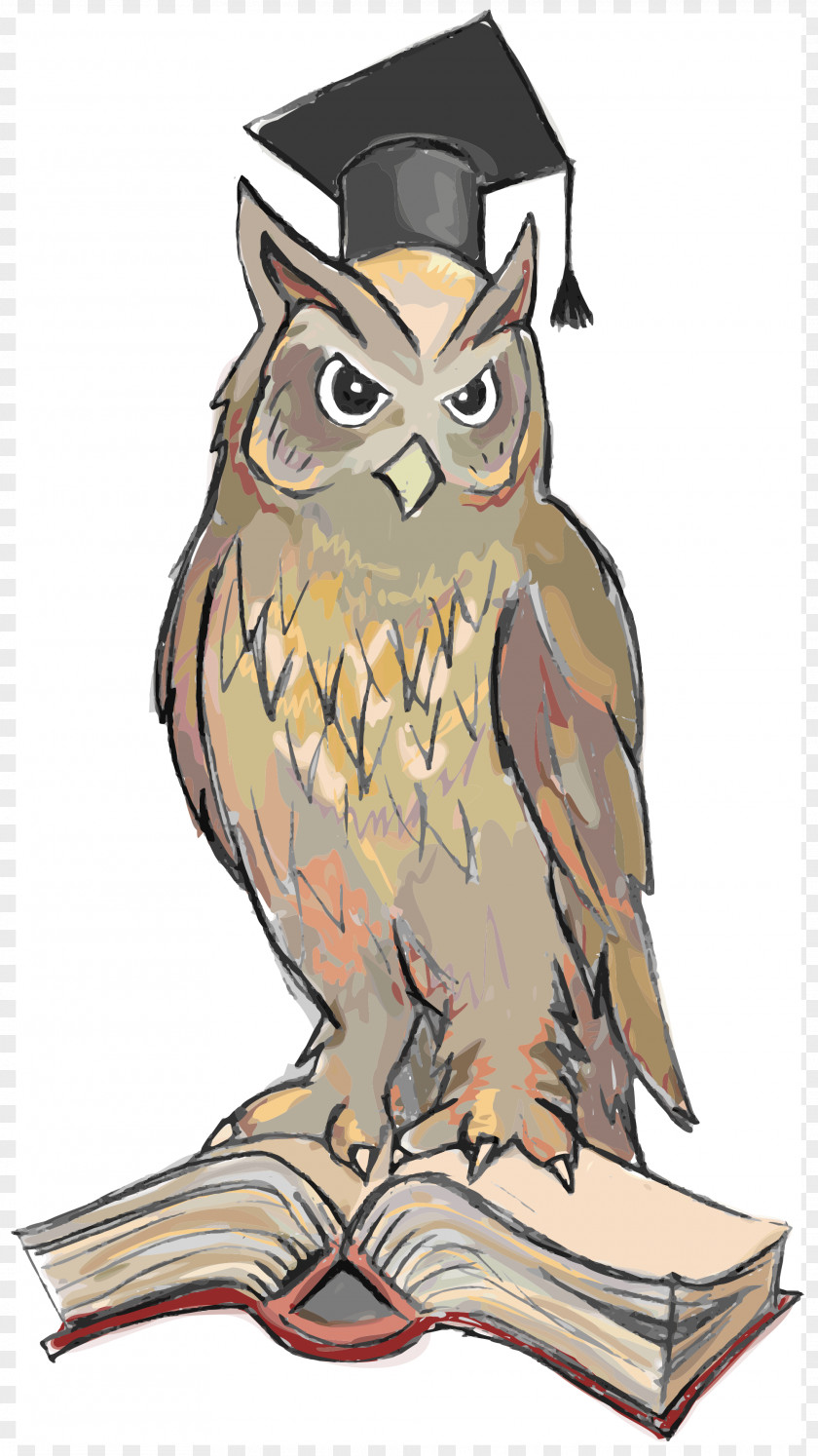Owls Bird Symbol Wisdom Snowy Owl True PNG