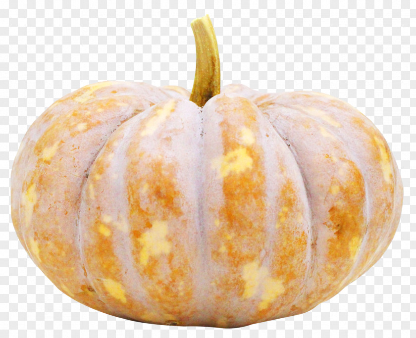 Pumpkin Seed Cucurbita Pepo Vegetable PNG