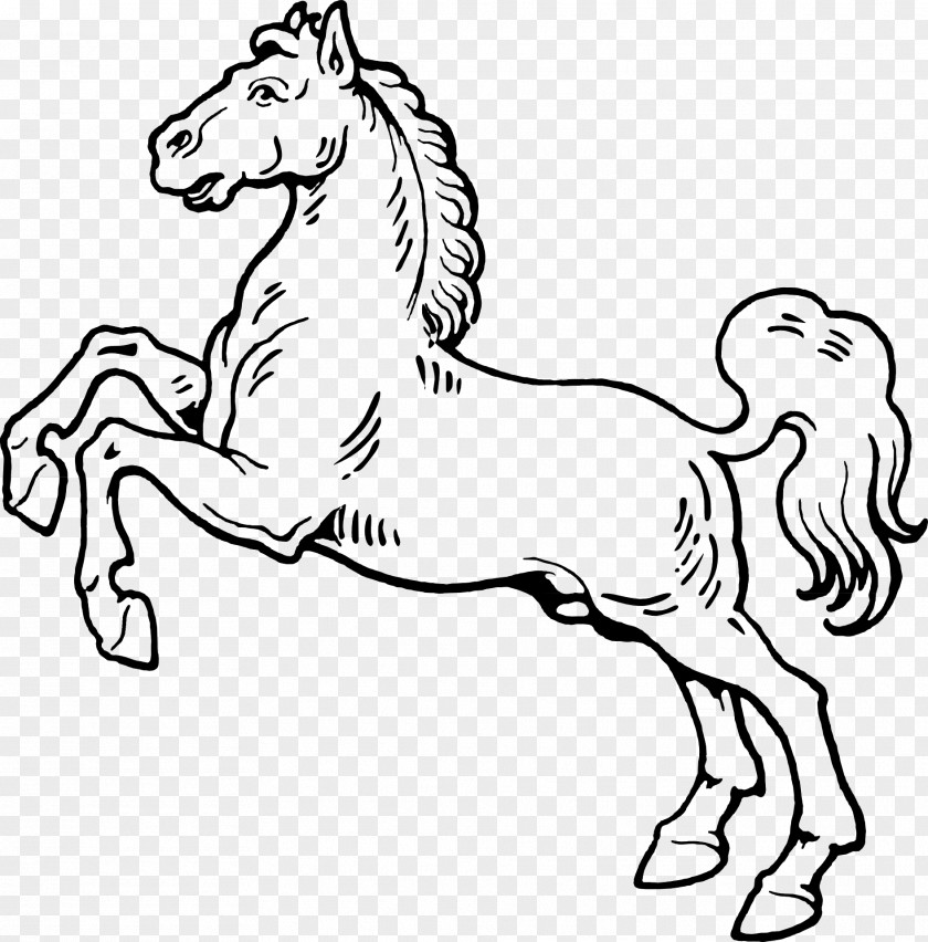 Stallion Clipart Mustang American Quarter Horse Drawing Clip Art PNG