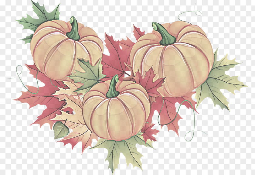 Vegetable Fruit Pumpkin PNG