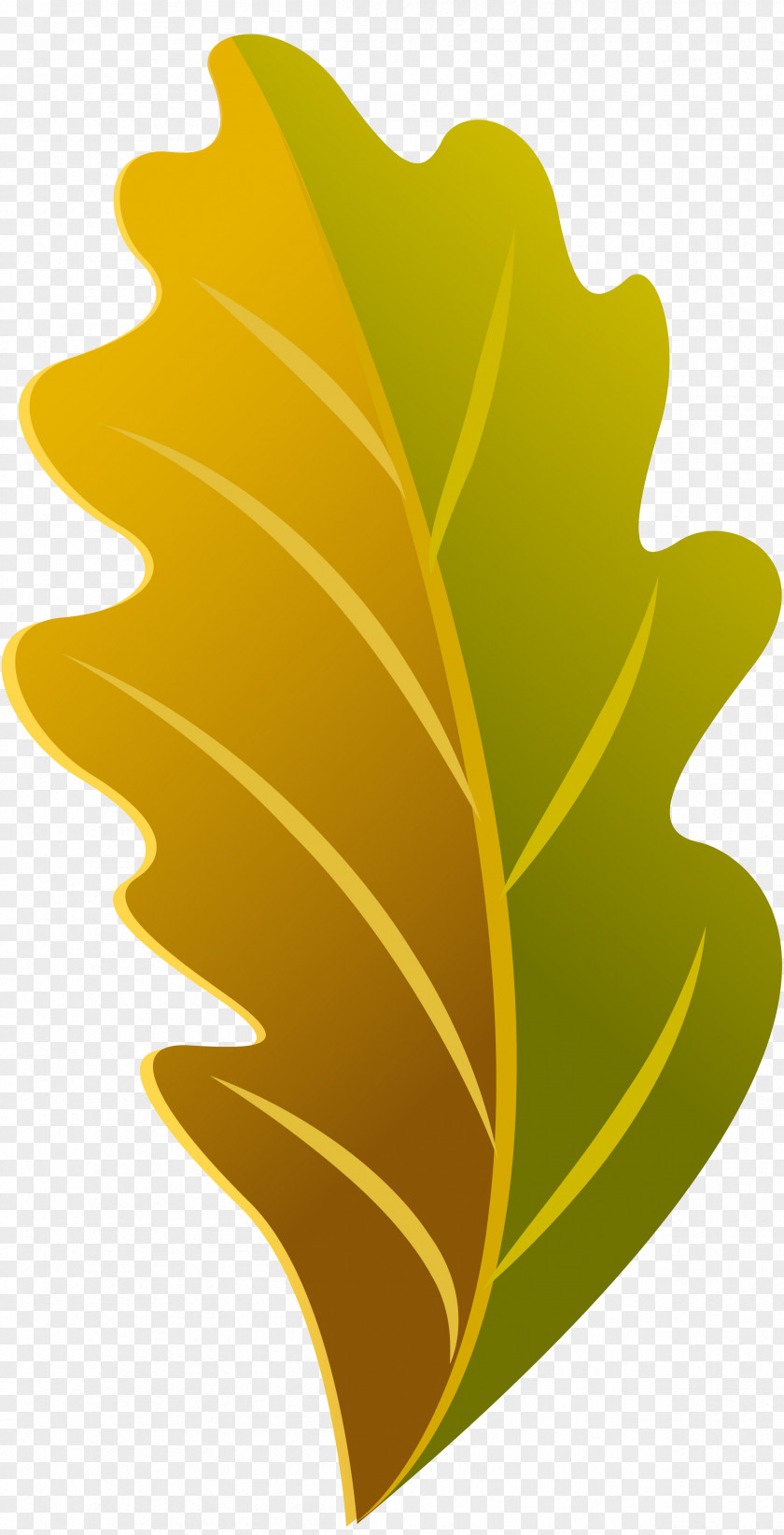 Banana Leaf Plant Flower Font PNG