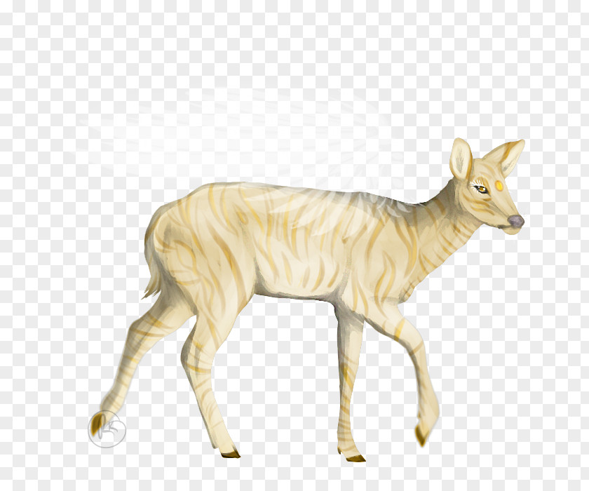 Deer Cattle Musk Deers Antelope Wildlife PNG