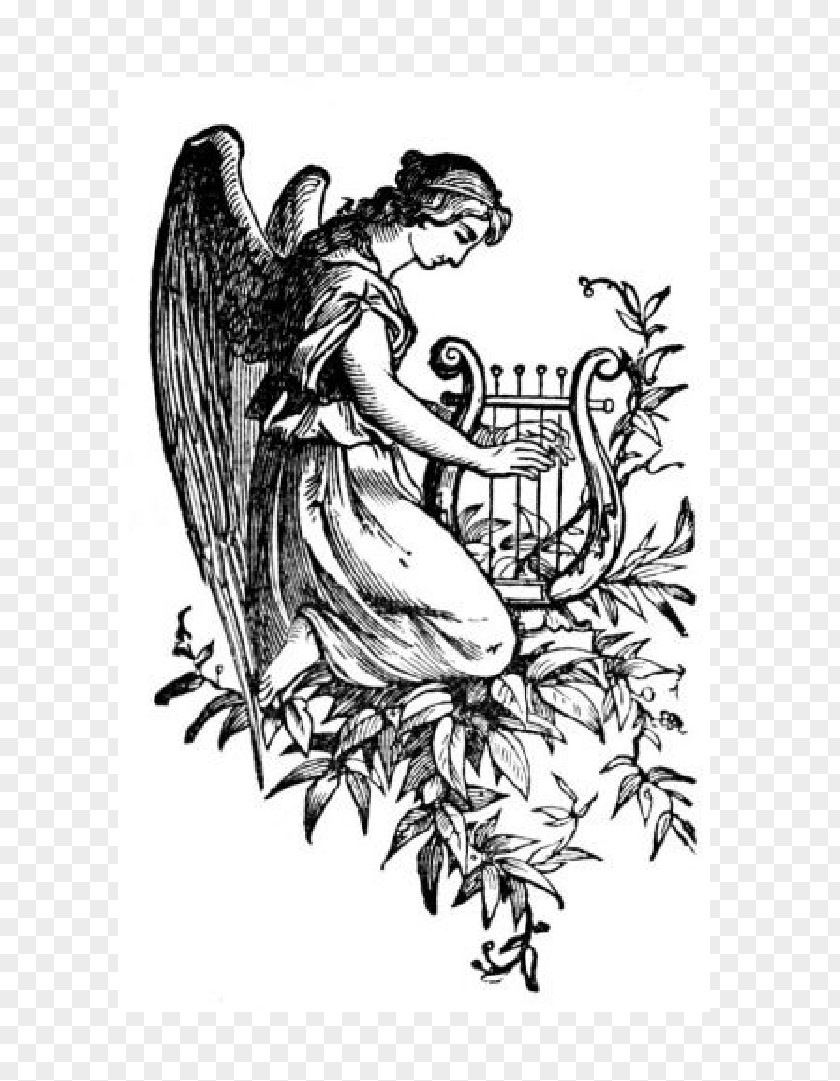 Free Pictures Of Angels Cherub Harp Drawing Angel PNG